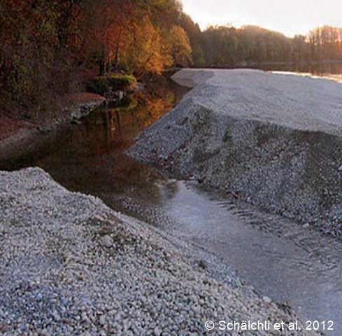 schaelchli etal Kiesschüttung an der Aare 96 dpi.jpg