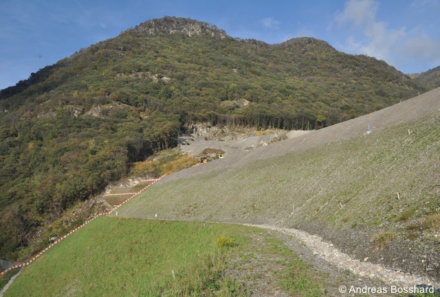 Datei:Bosshard NEAT Amit HoloSem Saatgut angesaet zg 96 dpi.jpg