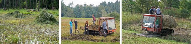 Datei:galerie21 unterhalt hw 96 dpi.png