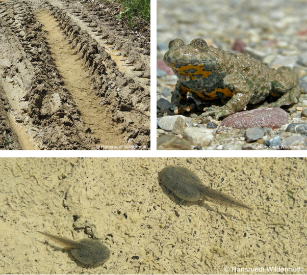 Datei:abbaugebiete galerie 6.png