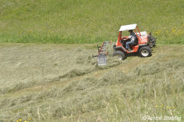 Datei:Mahd as 96 dpi.jpg