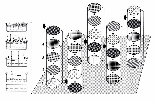 Datei:Grafik Torfstiche HW2 96 dpi.jpg