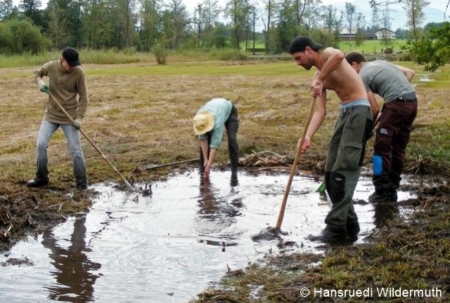 Datei:Gewaesserunterhalt1 96 dpi.jpg