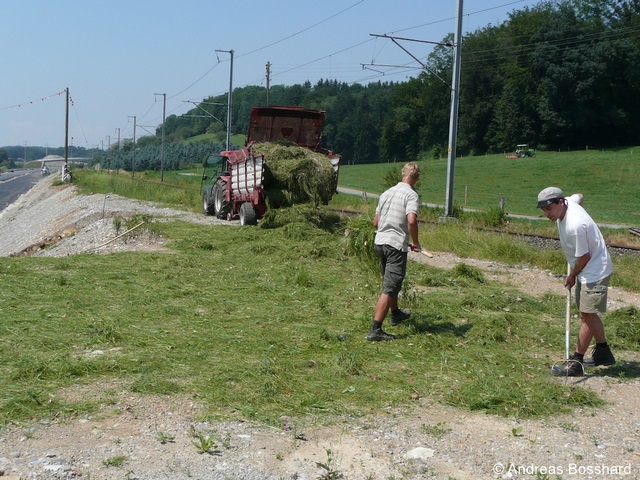 Datei:Mahdgutuebertragung 96 dpi.jpg