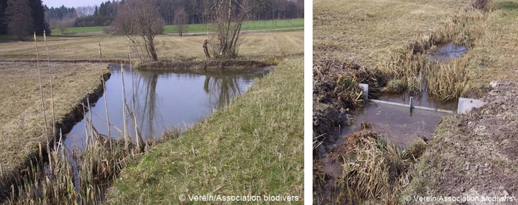 Stillgewaesser Galerie10.png