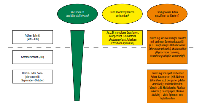 Datei:kriterien schnitttermin de.png