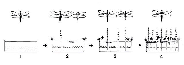 Datei:Grafik Torfstiche HW 96 dpi.jpg