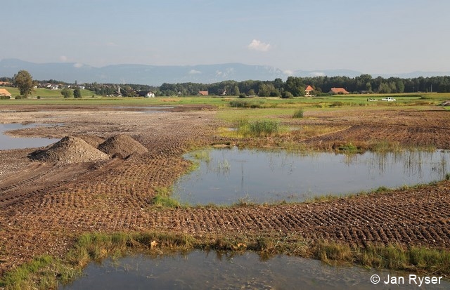 Datei:Flachwasserweiher JanRyser 96 dpi.jpg