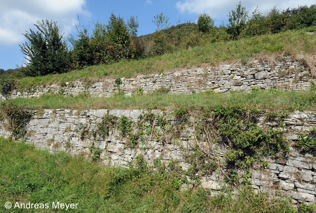 Datei:Trockenmauern alt 018 zg 96 dpi Marco Bertschinger.jpg
