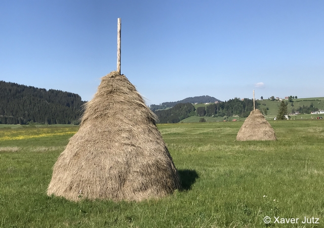 Datei:IMG 5830 zg 96 dpi.jpg