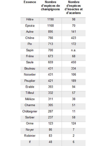 Datei:WSL OEkologischer Wert Tab fr 01 96 dpi.jpg