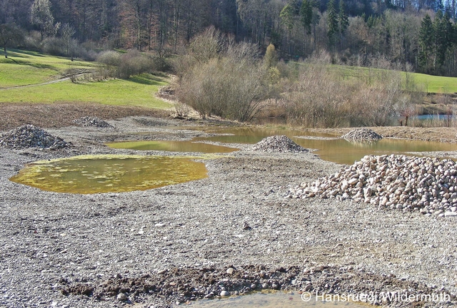 Datei:Gestaltete Pionierflächen HR zg 96 dpi.jpg