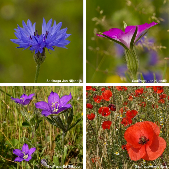 Datei:galerie 3 200 dpi.png