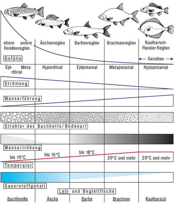 Fischregionen Quelle Basler Fischerei.jpg