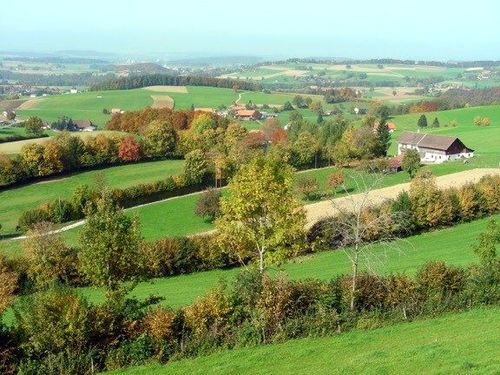 JS Heckenlandschaft Fofenhubelt.jpg