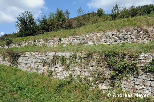 COAU Habitat Dirk 002 96 dpi.jpg