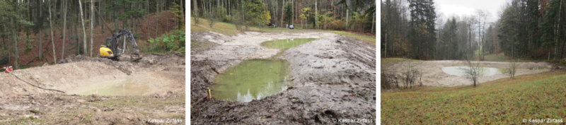 Stillgewaesser Galerie12.png