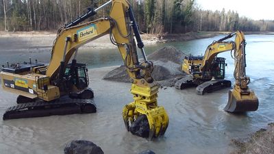 150203 Eggrank (17) 640x480.JPG