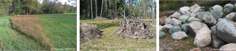 Strukturen HWildermuth Galerie.png