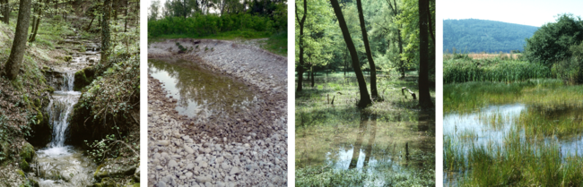 Amphibien Lebensraeume.png