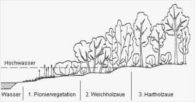 wsl auen schweiz schema de.png
