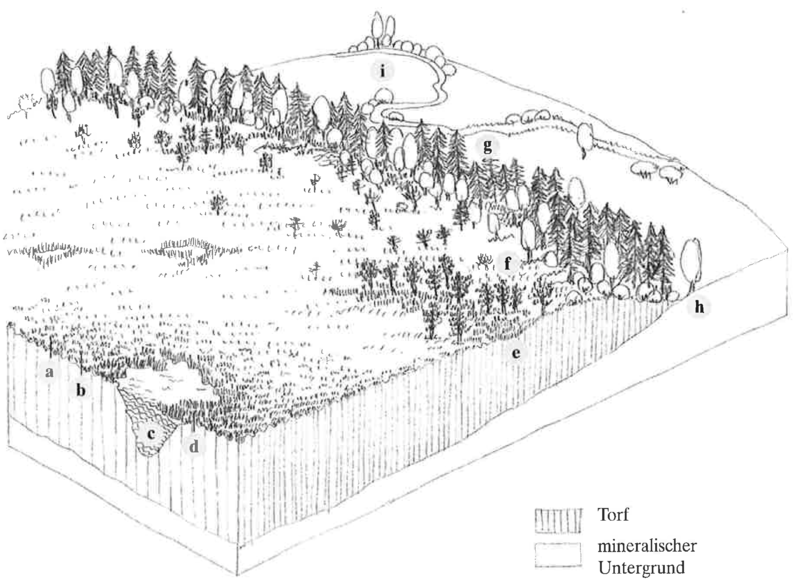 Datei:moorhandbuch 2.2.8 de zg.png
