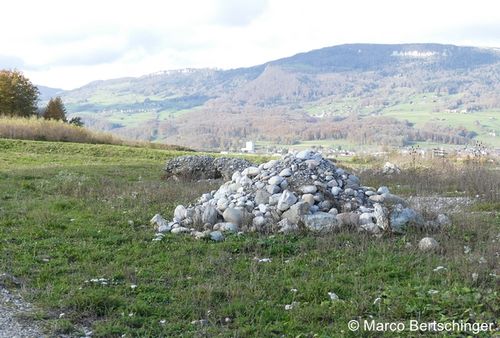 P1100563 zg 96 dpi Marco Bertschinger.JPG