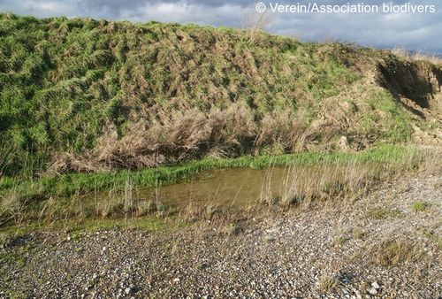 DSC03358 zg 96 dpi.JPG