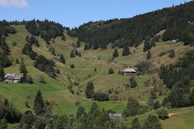 Mosaik aus Gruenlandtypen - Suedschwarzwald - IMG 7876b.jpg