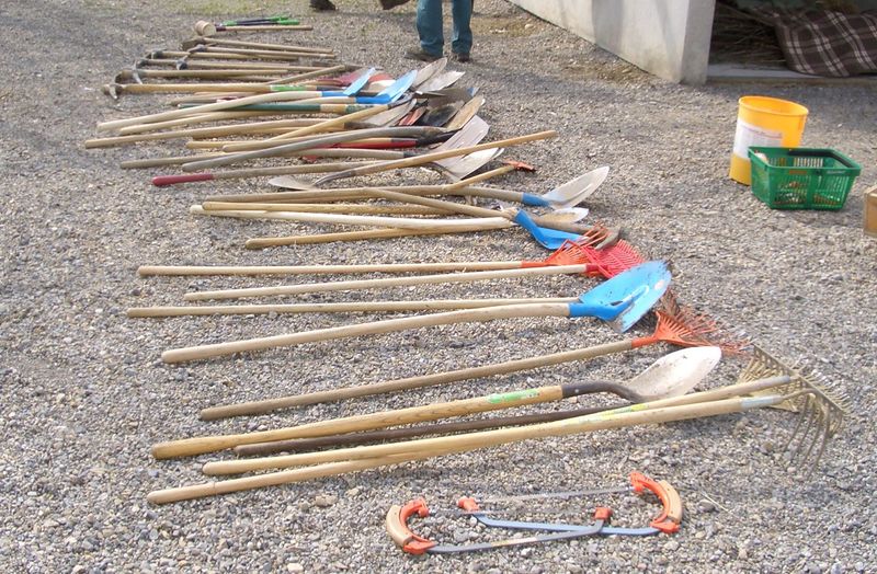 Datei:DZ Hecken pflanzen 090 b.jpg