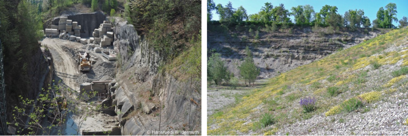 abbaugebiete galerie 1.png