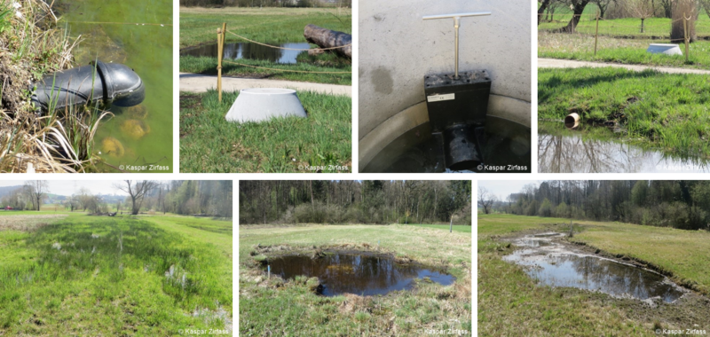 Stillgewaesser Galerie13.png