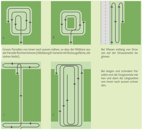 5.8a Grafik Maehvorgang de zg.PNG