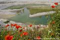 01 KlatschmohnWeiher zg 96 dpi.jpg