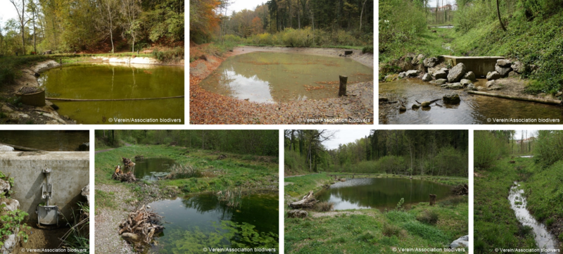 Stillgewaesser Galerie14.png