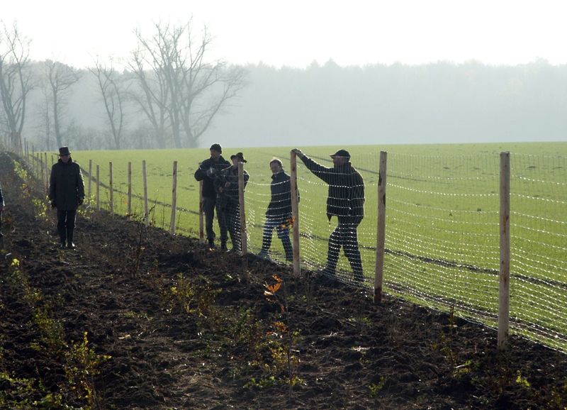 Datei:Heckenpflanzungen Eva Meyerhoff KÖN (4) b.jpg