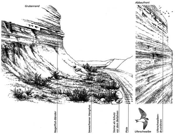 abbildung steilwaende de zg 1600 1200.png