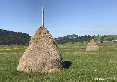 IMG 5830 zg 96 dpi.jpg