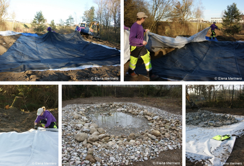 Stillgewaesser Galerie17.png