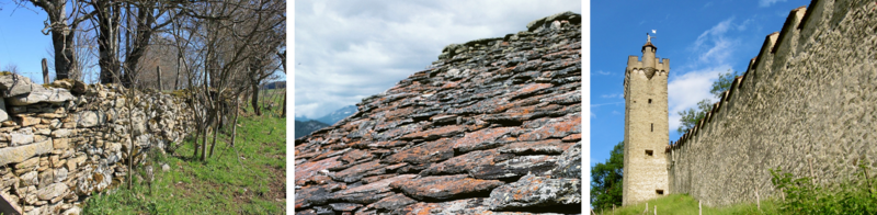 Flechten Saxicol Siedlungsgebiet.png