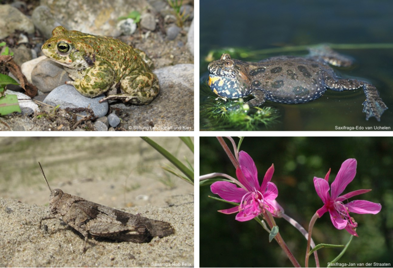 abbaugebiete galerie 4.png