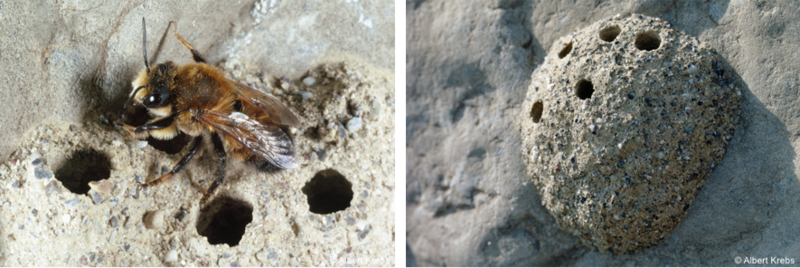 abbaugebiete galerie 5.png