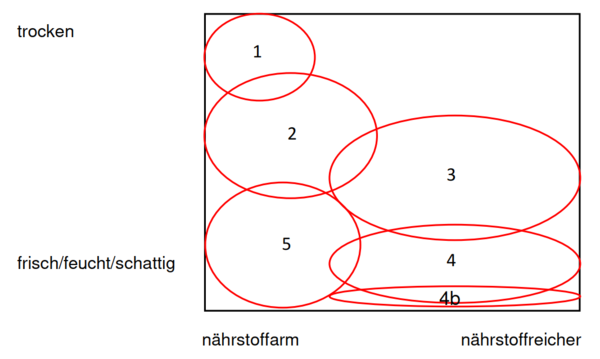 Wiesentypen Neuanlage de.png