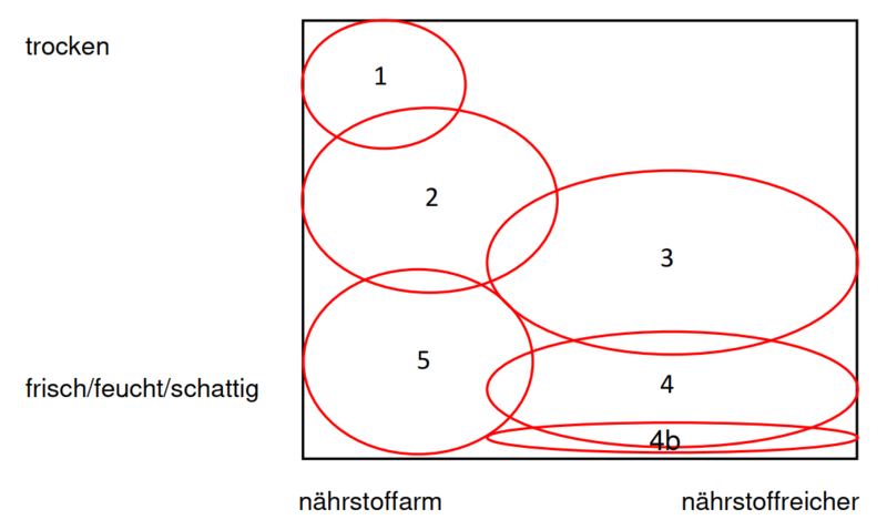 Datei:Wiesentypen Neuanlage de.png