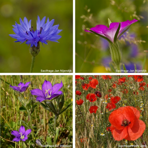 galerie 3 200 dpi.png