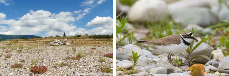 abbaugebiete galerie 2.png