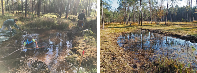 Fichier:galerie20 tsunterhalt konkret hw 96 dpi.png