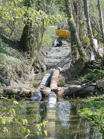 Fig 6 c Cuarny 96 dpi.JPG