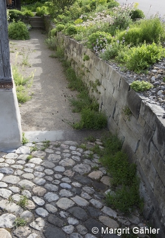 Fichier:ZG 7658 96 dpi.jpg