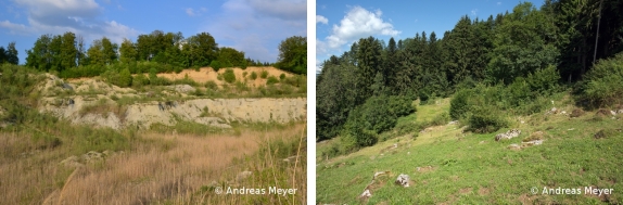 Fichier:Galerie 3.jpg